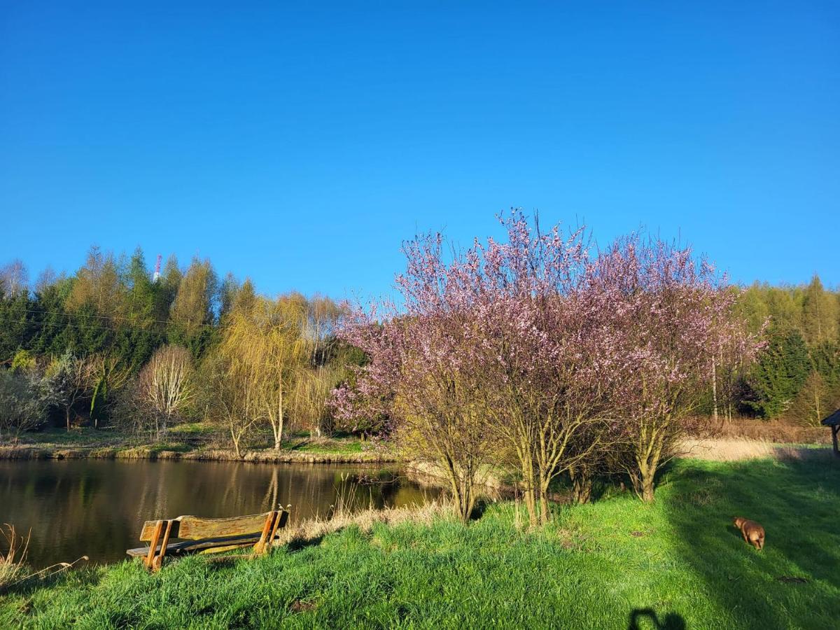 Dom Malarki Villa Mirosławiec Exteriör bild